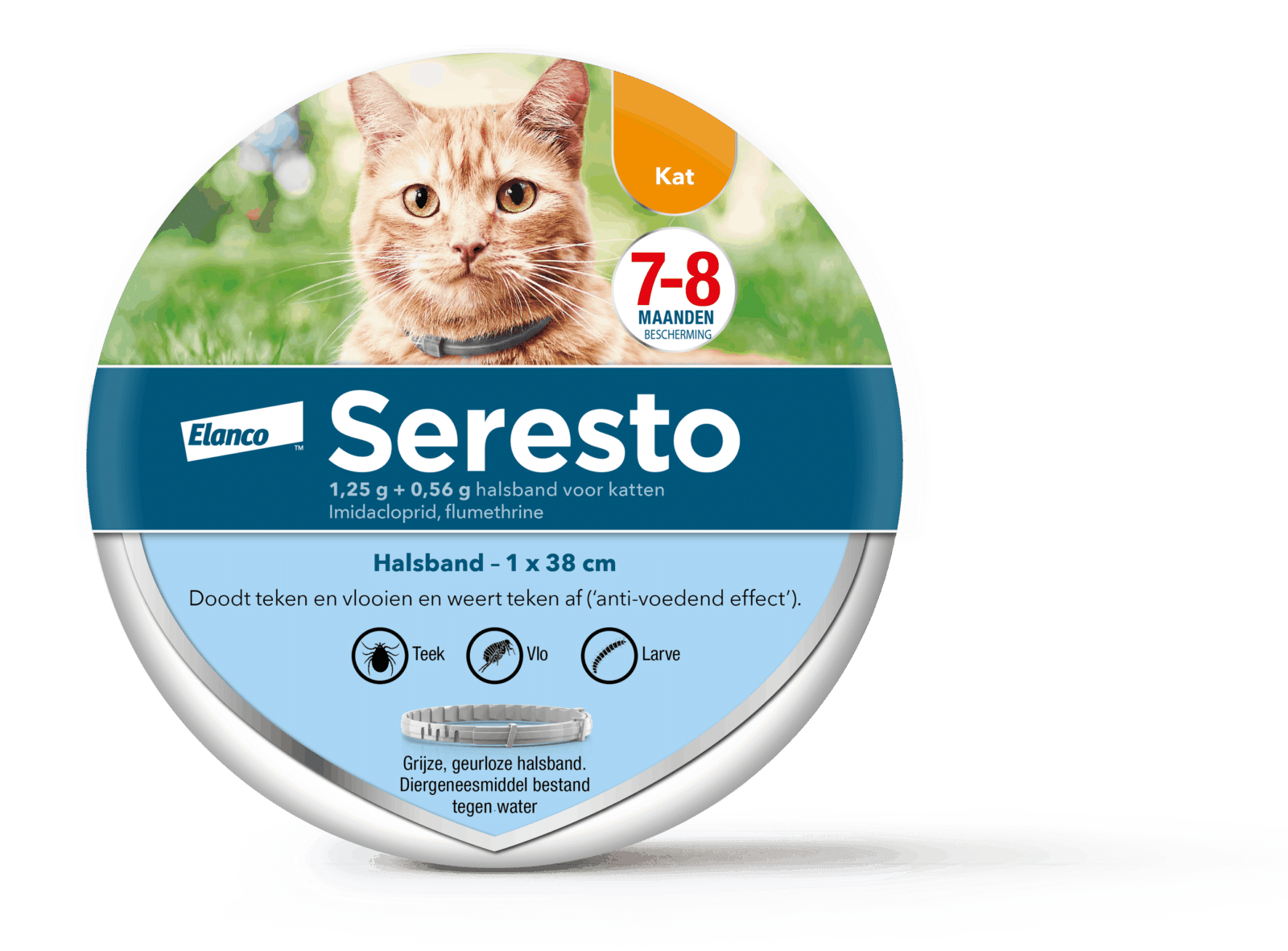 Seresto Katze-1