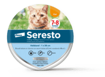 Seresto katze flohhalsband