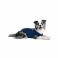 Medical pet shirt hund