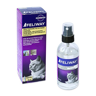 feliway bei rolligkeit
