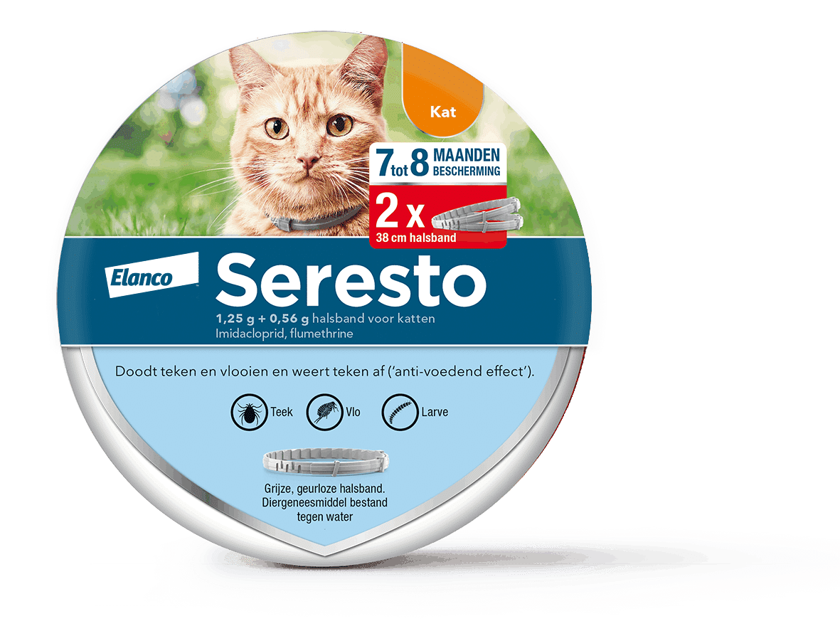 Seresto Katze-3