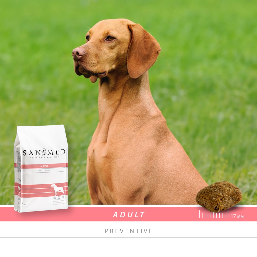 Sanimed Adult Hundefutter-2