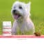 Sanimed Adult Small Breed Hundefutter