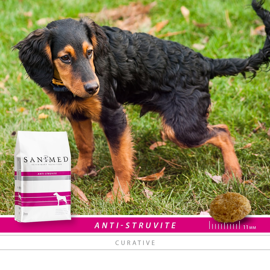 Sanimed Anti Struvite Hundefutter-2