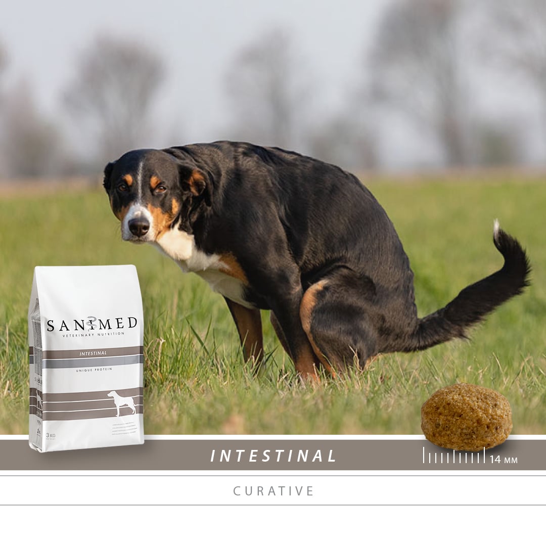 Sanimed Intestinal Hundefutter-3