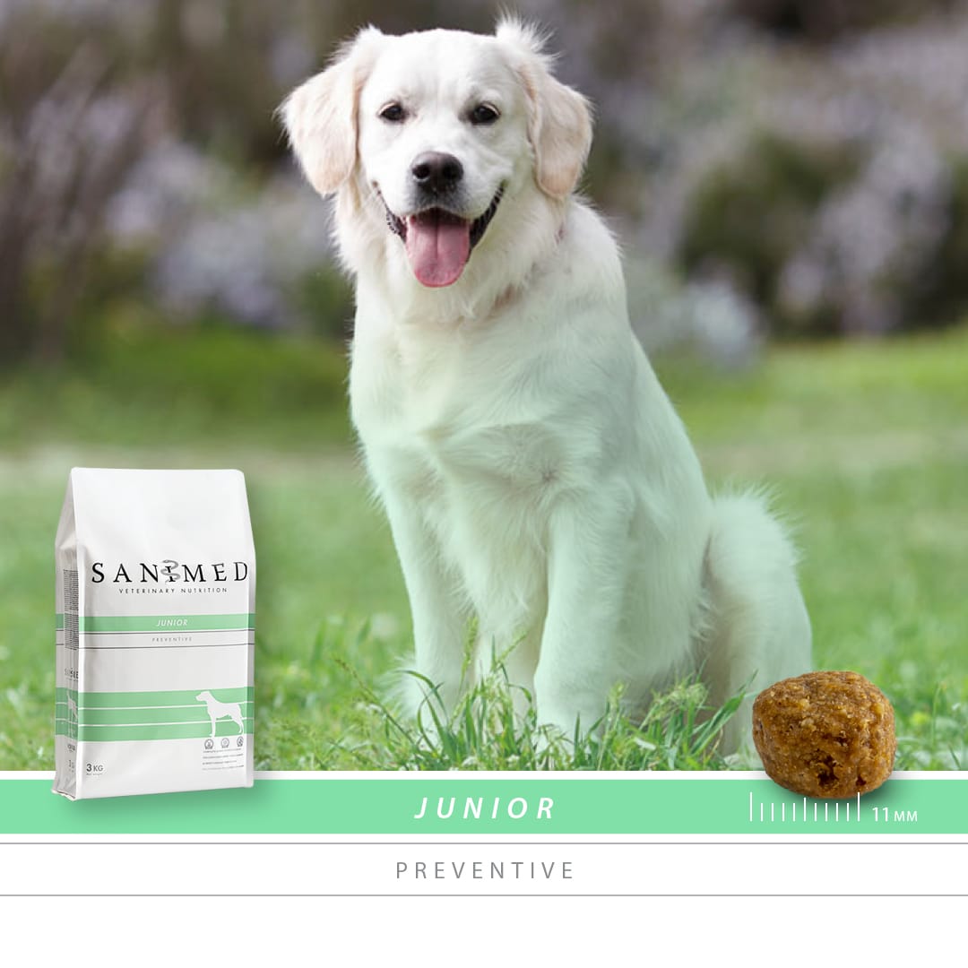 Sanimed Junior Hundefutter-2