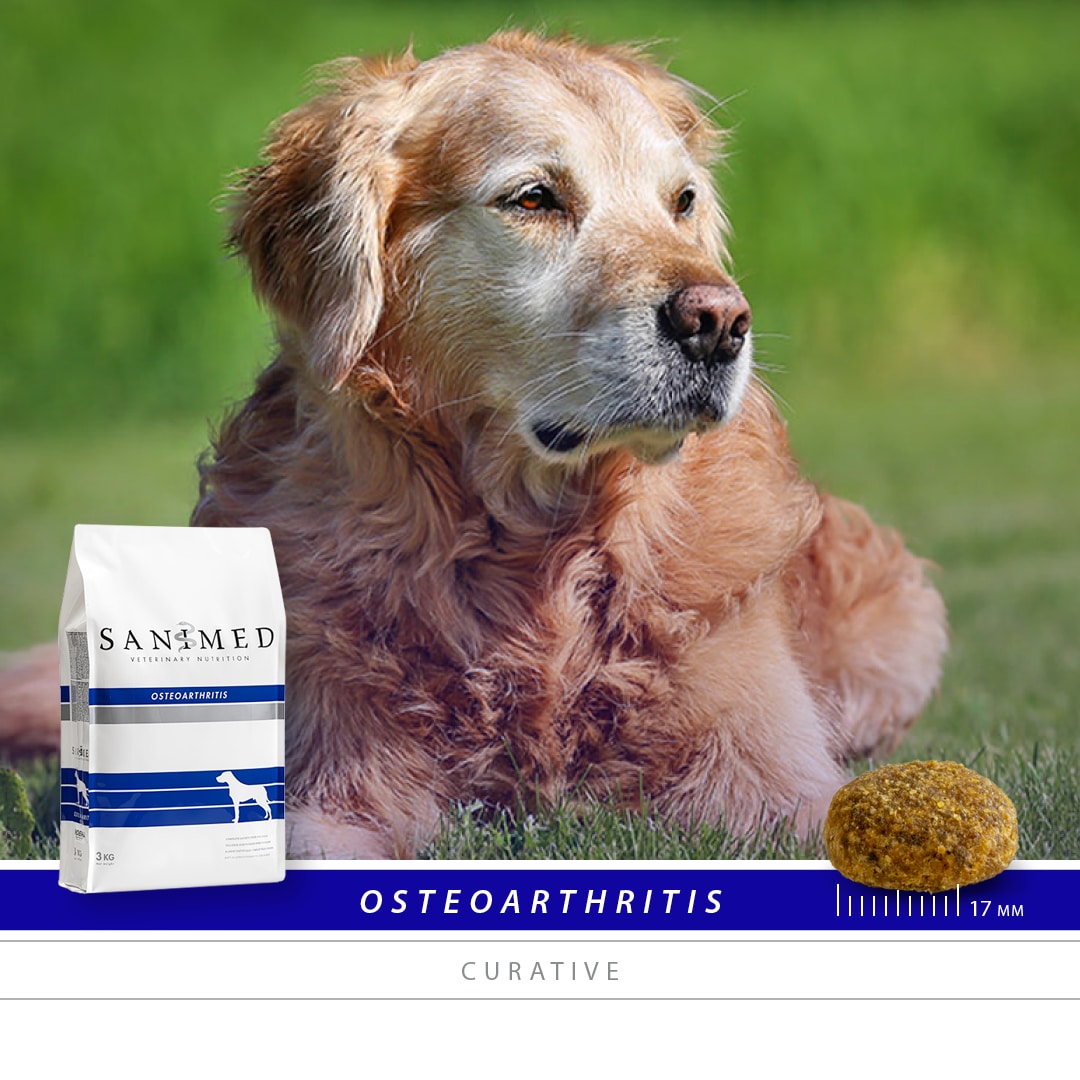 Sanimed Osteoarthritis Hundefutter-3