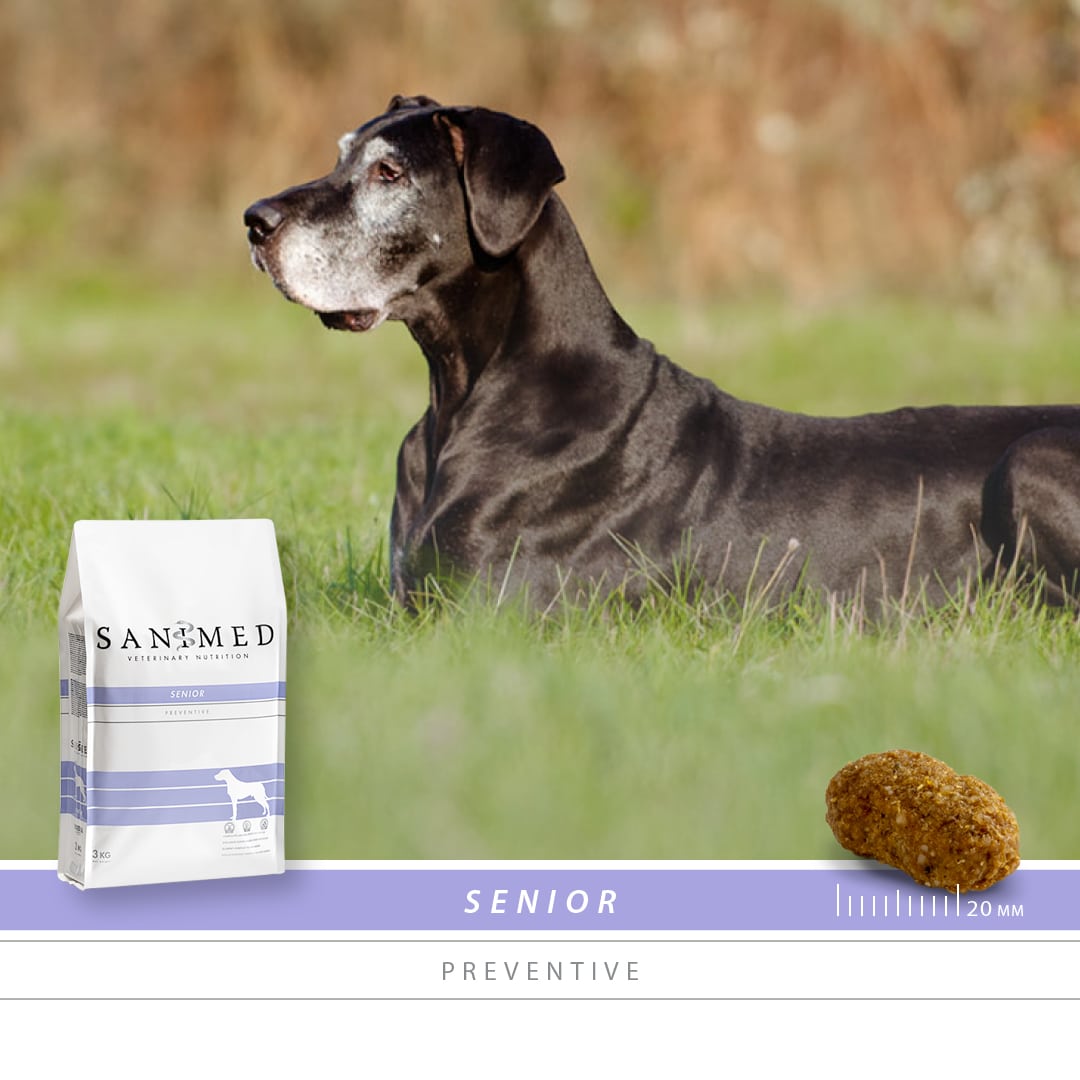 Sanimed Senior Hundefutter-2