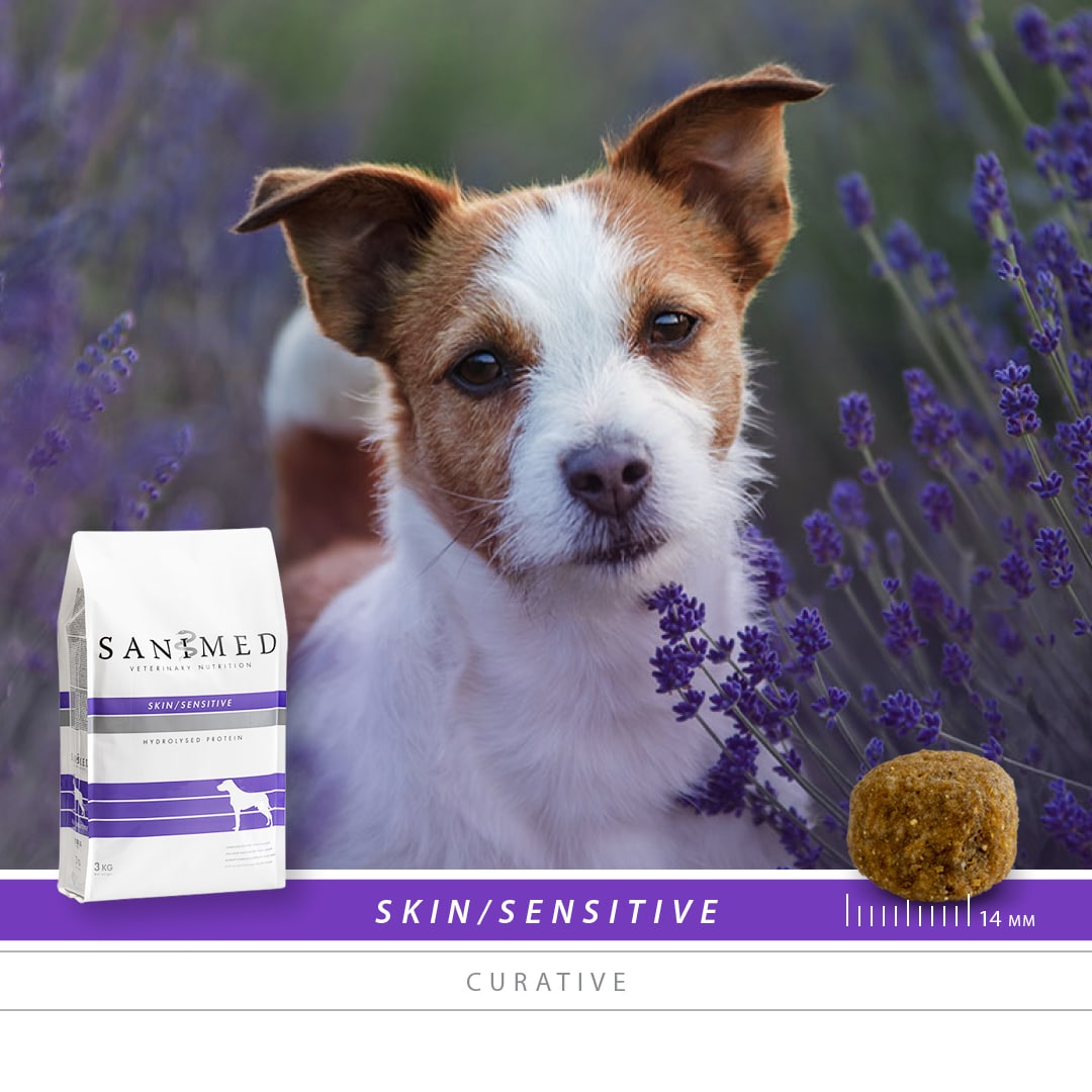 Sanimed Skin Sensitive Hundefutter-2