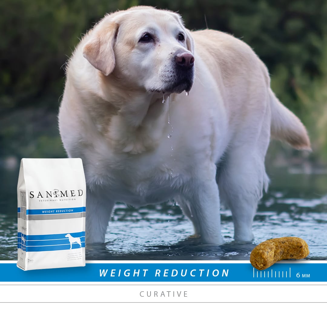 Sanimed Weight Reduction Hundefutter-3