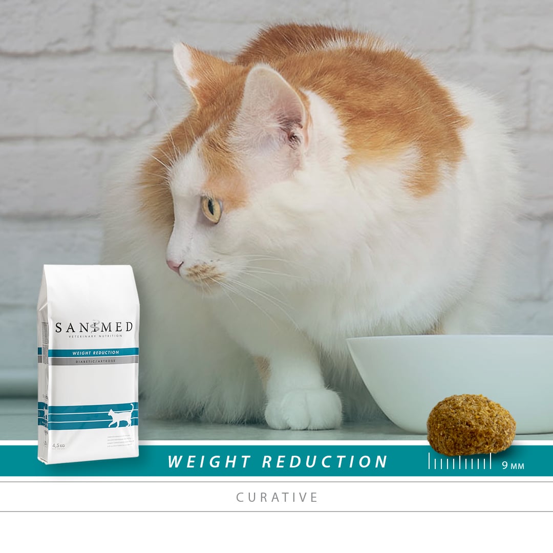 Sanimed Weight Reduction Katzenfutter-2